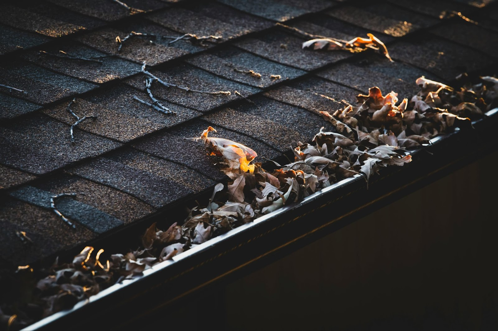 What Happens If You Skip Outdoor Maintenance?